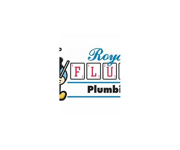 Best Royal Flush Plumbing In Mumbai Your Ultimate Guide to Top notch Services